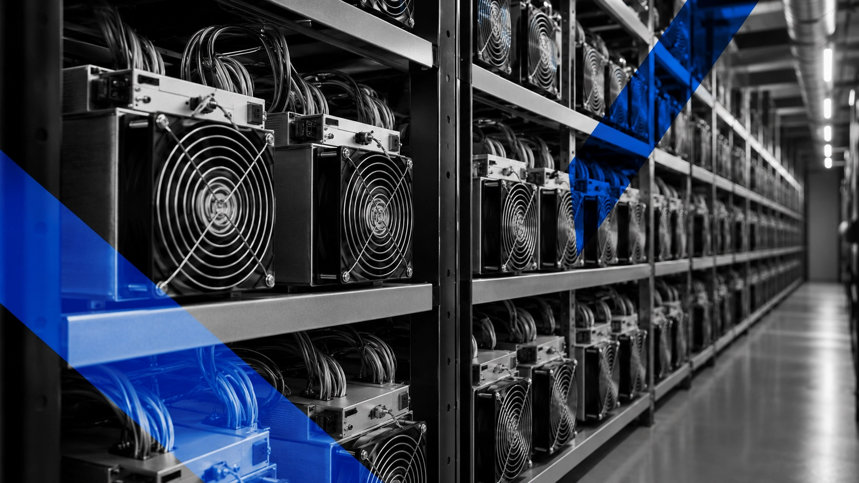 Whatsminer M73 и M73S — обзор флагманской линейки MicroBT